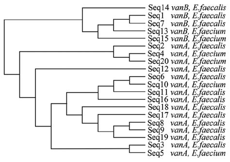 clustal omega guide tree.